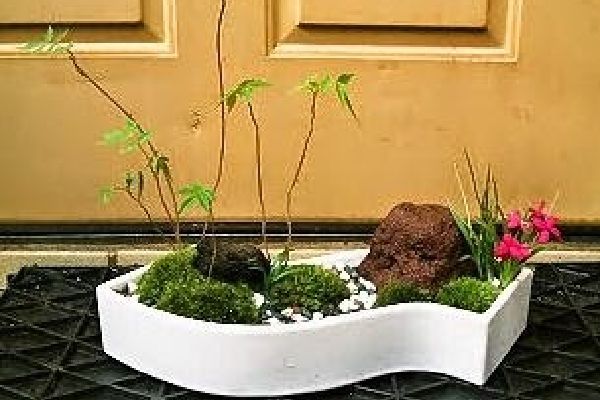 ハゼの苔盆景01