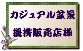 カジュアル盆景販売提携ショップ情報