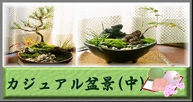 �J�W���A���~�i(��)