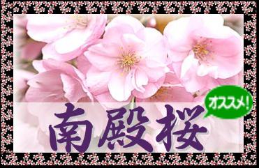 ��a���^�C�g��