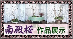 �J�W���A���~�i ��a�� ��i�W��