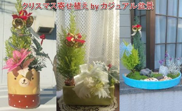 カジュアル盆景ポップアップショップ・クリスマス