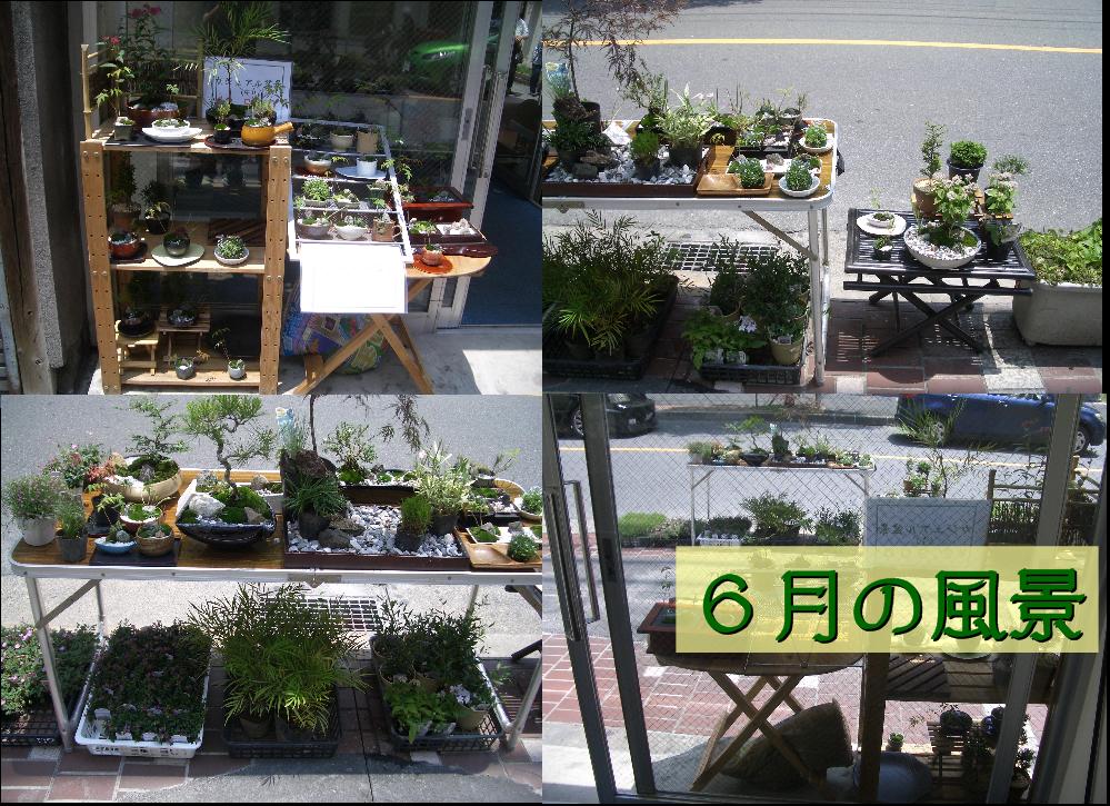 �J�W���A���~�i�|�b�v�A�b�v�V���b�v�U��